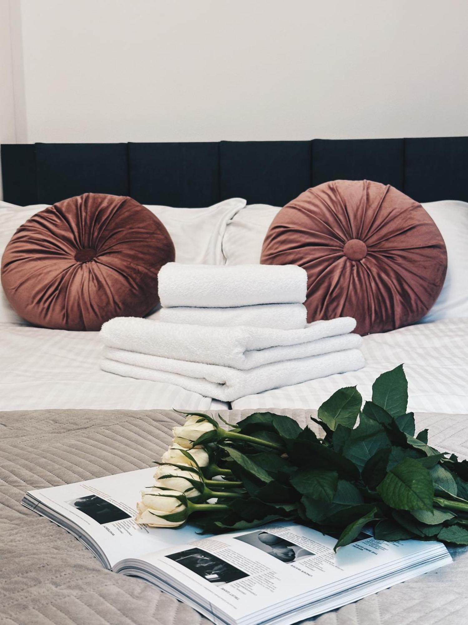 Soft Loft Apartamenty Stary Toruń Dış mekan fotoğraf